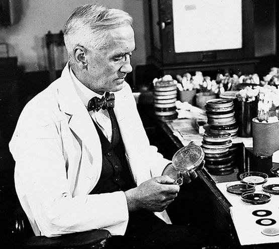 Septiembre de 1928: 90 años del descubrimiento de la penicilina –  microBIOblog